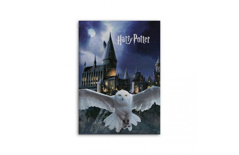 PLAID POLAIRE HEDWIGE - Saga HARRY POTTER PLAID POLAIRE HEDWIGE - Saga HARRY POTTER