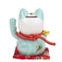 Chat du Bonheur et de la Fortune