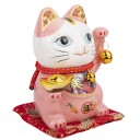 Chat du Bonheur et de la Fortune