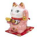 Chat du Bonheur et de la Fortune