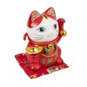 Chat du Bonheur et de la Fortune