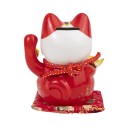 Chat du Bonheur et de la Fortune