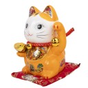 CHAT DU BONHEUR et de la FORTUNE