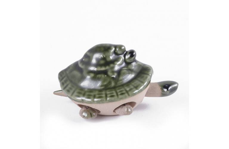 TORTUE LONGEVITE ARTICULE TORTUE LONGEVITE ARTICULE