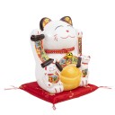 CHAT JAPONAIS - RICHESSE ET FORTUNE