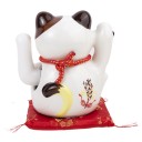 CHAT JAPONAIS - RICHESSE ET FORTUNE