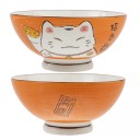 Grand bol japonais orange 1000Ml