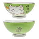 GRAND BOL JAPONAIS - VERT - 1000 ML