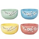 Coffret Bols à riz et Baguettes