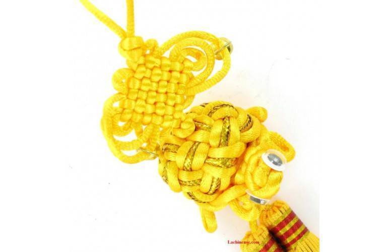 TORTUE de LONGEVITE TORTUE de LONGEVITE