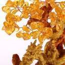 Arbre Feng Shui Dragon Pierres en Citrine