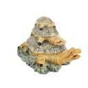 Trio Tortues Feng Shui